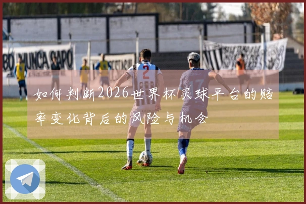 如何判断2026世界杯买球平台的赔率变化背后的风险与机会