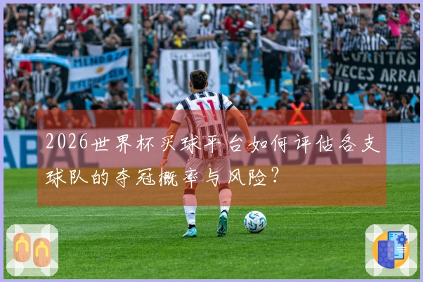 2026世界杯买球平台如何评估各支球队的夺冠概率与风险？
