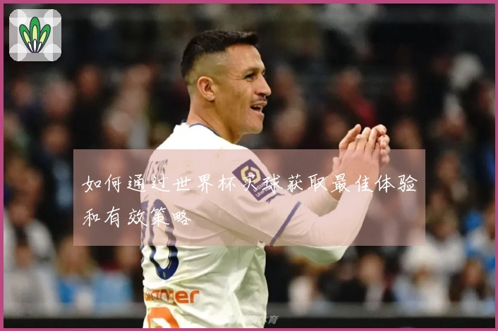 如何通过世界杯买球获取最佳体验和有效策略