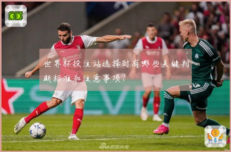世界杯投注站选择时有哪些关键判断标准和注意事项？