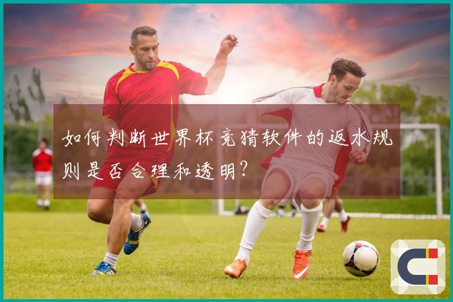 如何判断世界杯竞猜软件的返水规则是否合理和透明？