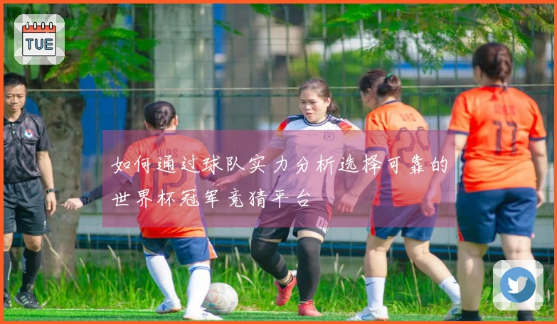 如何通过球队实力分析选择可靠的世界杯冠军竞猜平台
