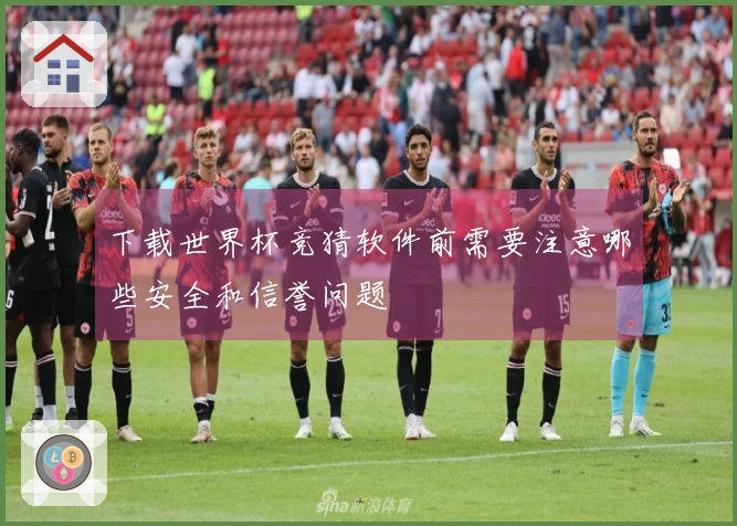 下载世界杯竞猜软件前需要注意哪些安全和信誉问题
