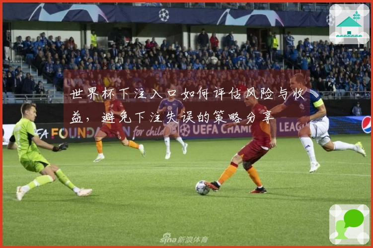 世界杯下注入口如何评估风险与收益，避免下注失误的策略分享
