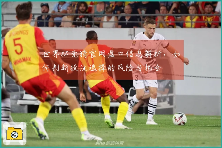 世界杯竞猜官网盘口信息解析，如何判断投注选择的风险与机会