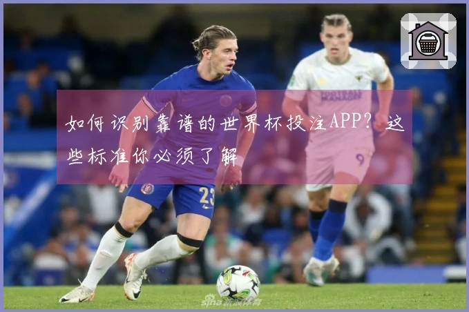 如何识别靠谱的世界杯投注APP？这些标准你必须了解