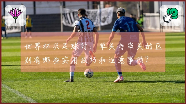 世界杯买足球时，单关与串关的区别有哪些实用技巧和注意事项？