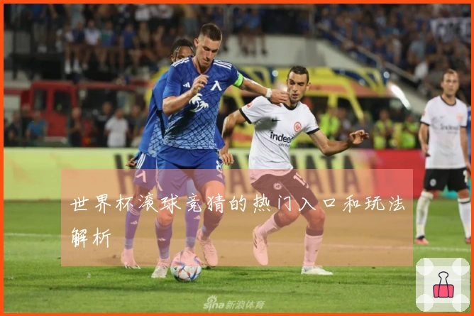 世界杯滚球竞猜的热门入口和玩法解析