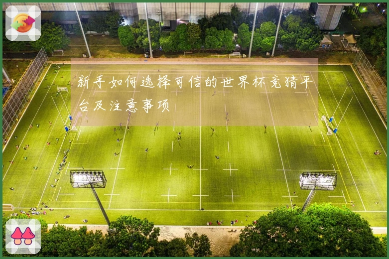 新手如何选择可信的世界杯竞猜平台及注意事项