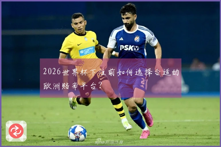 2026世界杯下注前如何选择合适的欧洲赔率平台？