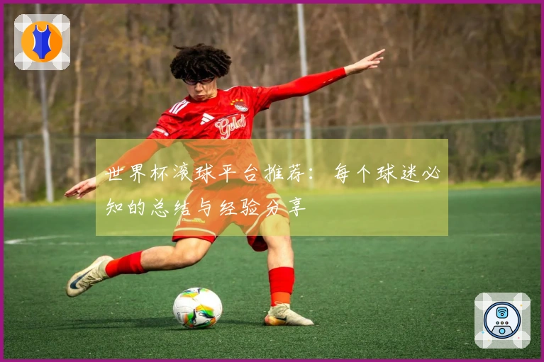 世界杯滚球平台推荐:每个球迷必知的总结与经验分享