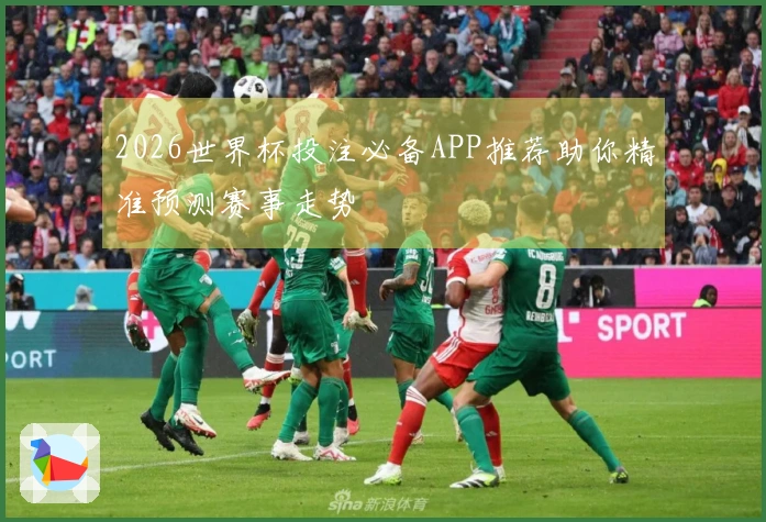 2026世界杯投注必备APP推荐助你精准预测赛事走势