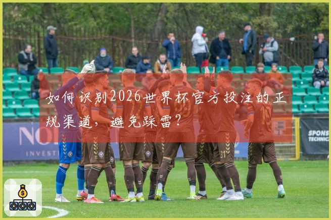 如何识别2026世界杯官方投注的正规渠道，避免踩雷？
