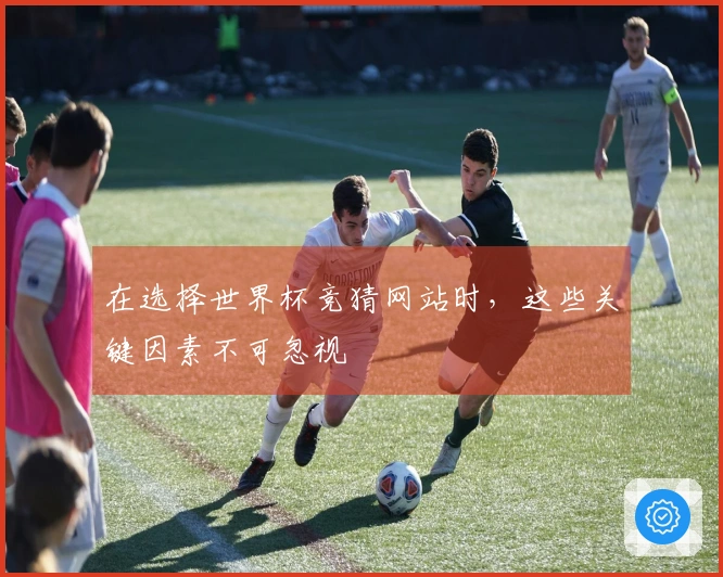 在选择世界杯竞猜网站时,这些关键因素不可忽视
