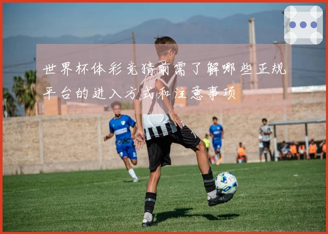 世界杯体彩竞猜前需了解哪些正规平台的进入方式和注意事项