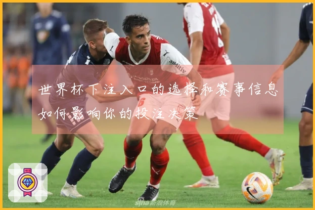 世界杯下注入口的选择和赛事信息如何影响你的投注决策