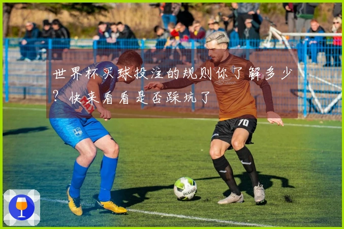 世界杯买球投注的规则你了解多少？快来看看是否踩坑了