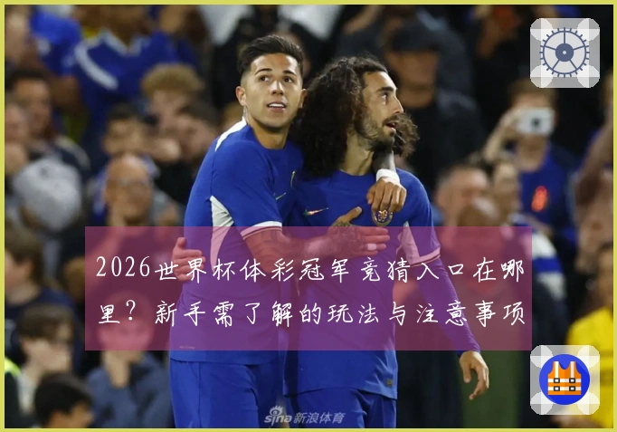 2026世界杯体彩冠军竞猜入口在哪里？新手需了解的玩法与注意事项