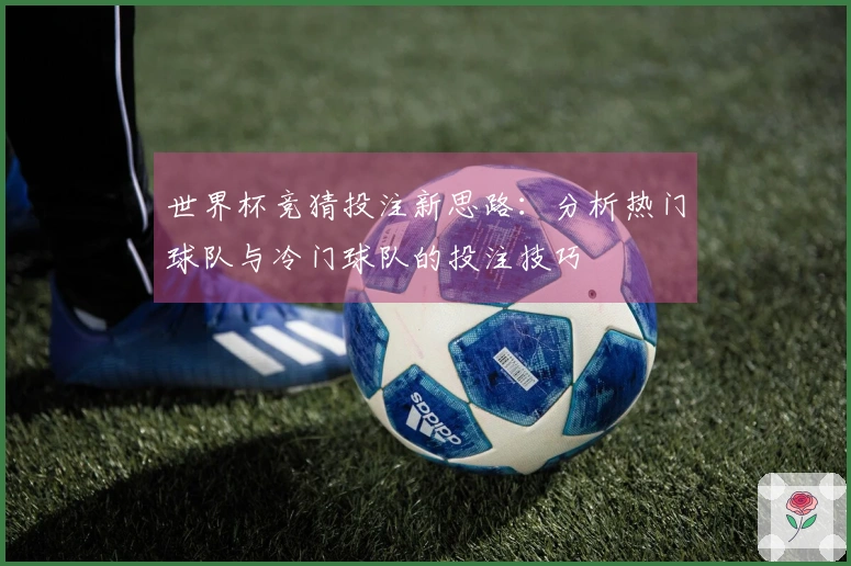 世界杯竞猜投注新思路：分析热门球队与冷门球队的投注技巧