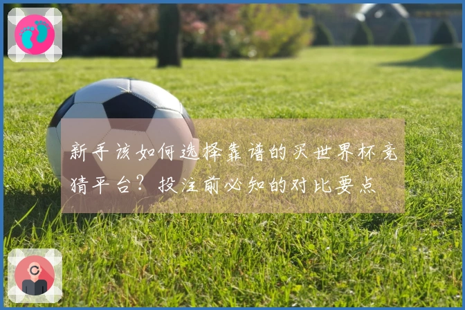新手该如何选择靠谱的买世界杯竞猜平台？投注前必知的对比要点