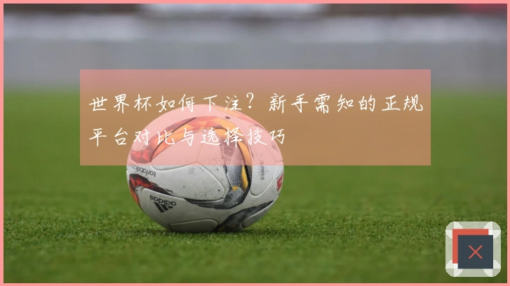 世界杯如何下注？新手需知的正规平台对比与选择技巧