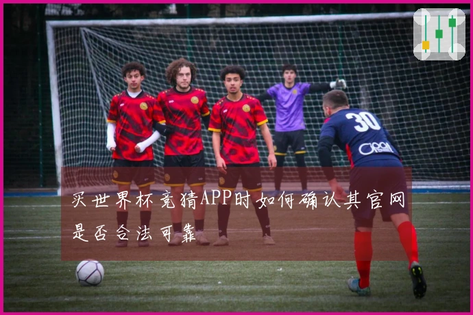 买世界杯竞猜APP时如何确认其官网是否合法可靠