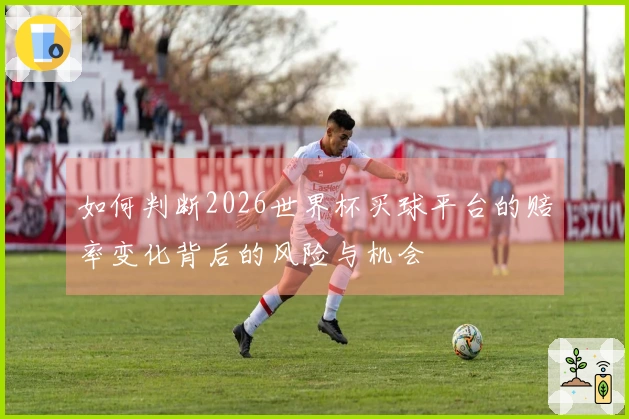 如何判断2026世界杯买球平台的赔率变化背后的风险与机会
