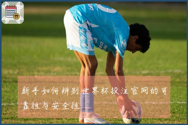 新手如何辨别世界杯投注官网的可靠性与安全性