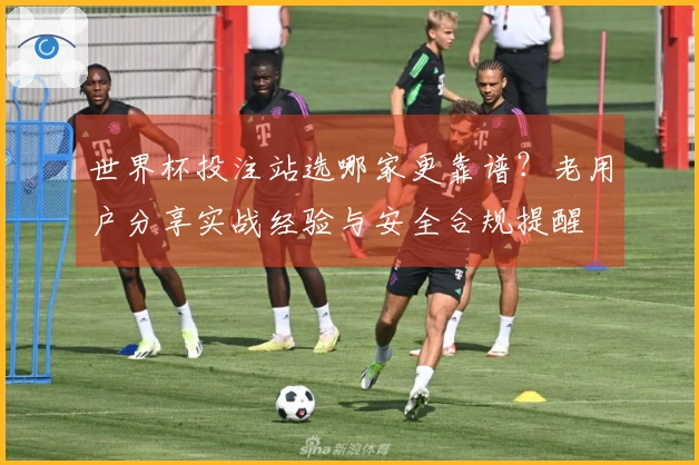 世界杯投注站选哪家更靠谱？老用户分享实战经验与安全合规提醒