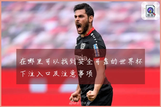 在哪里可以找到安全可靠的世界杯下注入口及注意事项