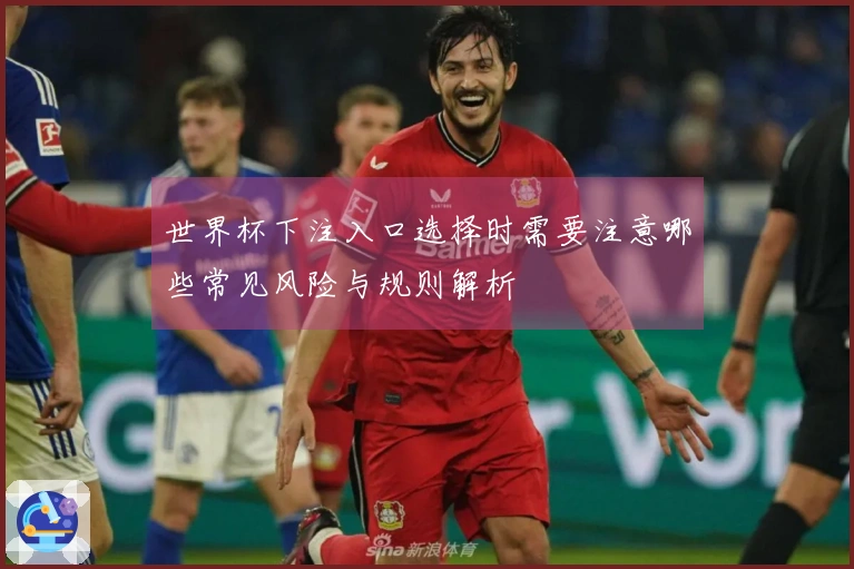 世界杯下注入口选择时需要注意哪些常见风险与规则解析