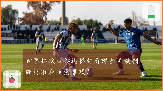 世界杯投注站选择时有哪些关键判断标准和注意事项?