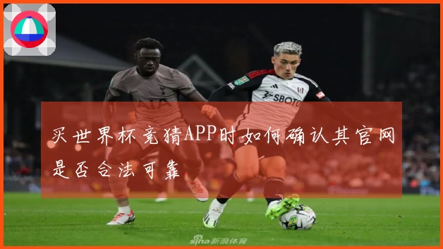 买世界杯竞猜APP时如何确认其官网是否合法可靠