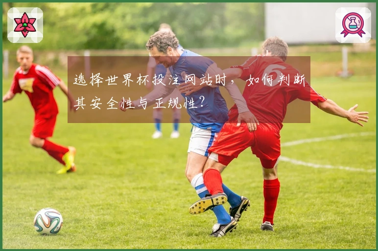 选择世界杯投注网站时，如何判断其安全性与正规性？