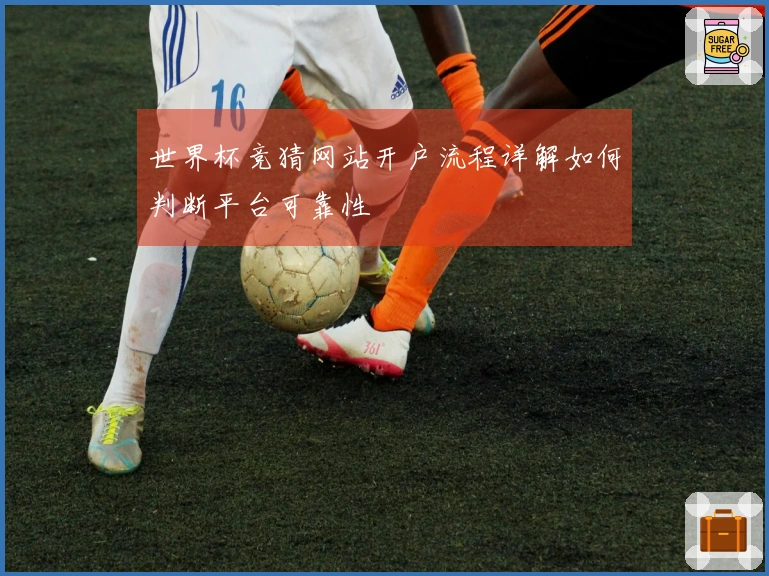 世界杯竞猜网站开户流程详解如何判断平台可靠性